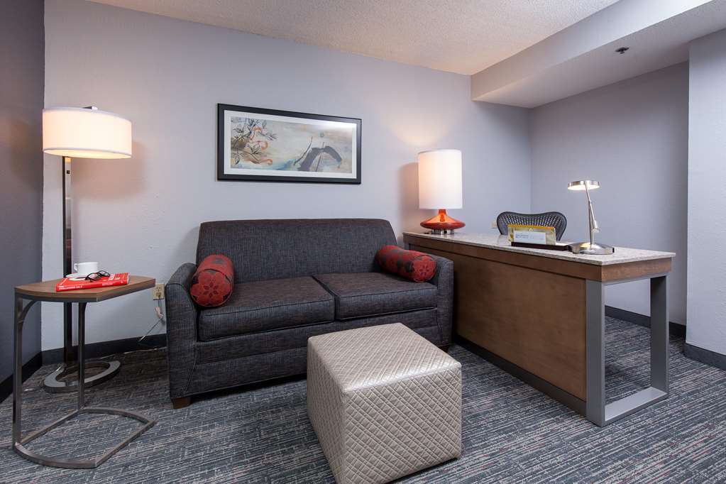 Hilton Garden Inn Atlanta North/Johns Creek Værelse billede