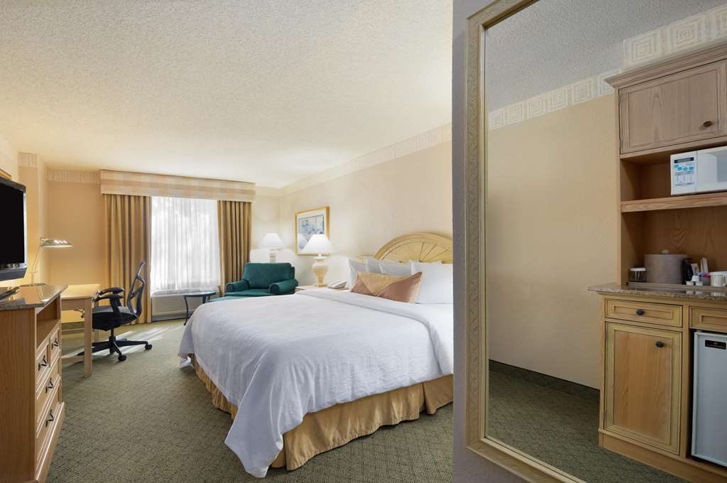 Hilton Garden Inn Atlanta North/Johns Creek Værelse billede